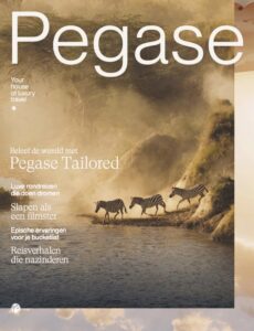 visual-brochures-pegase-bib-december-2025